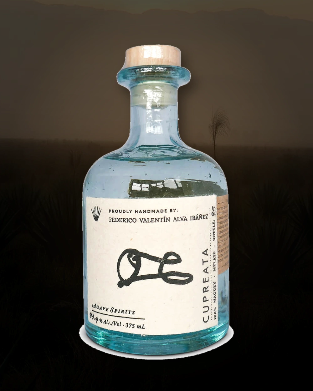 Maguey Melate Cupreata – Federico Valentín Alva Ibáñez