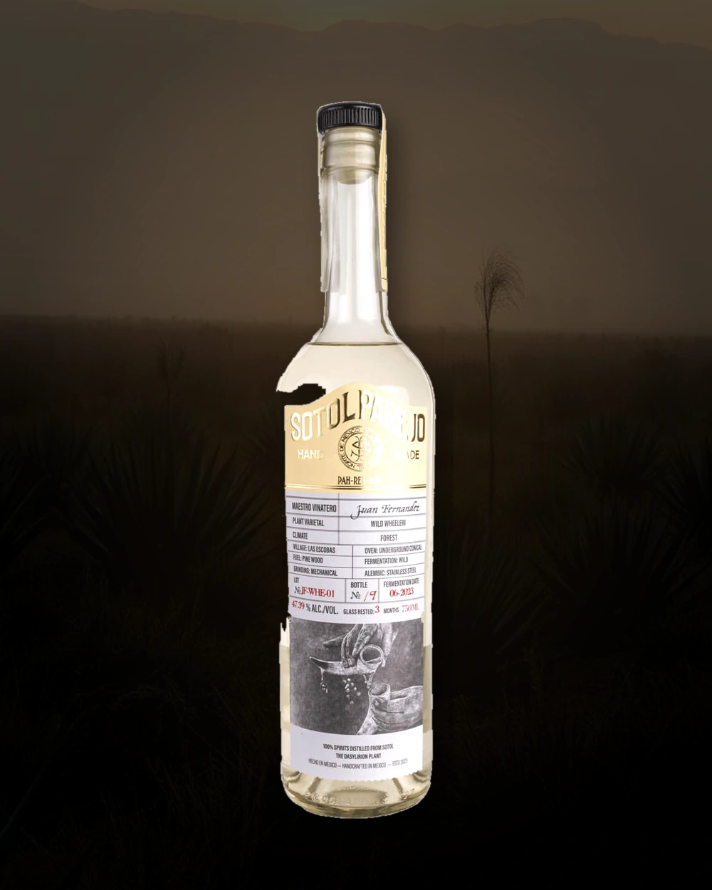 Sotol Parejo Wheeleri – Juan Fernández bottle