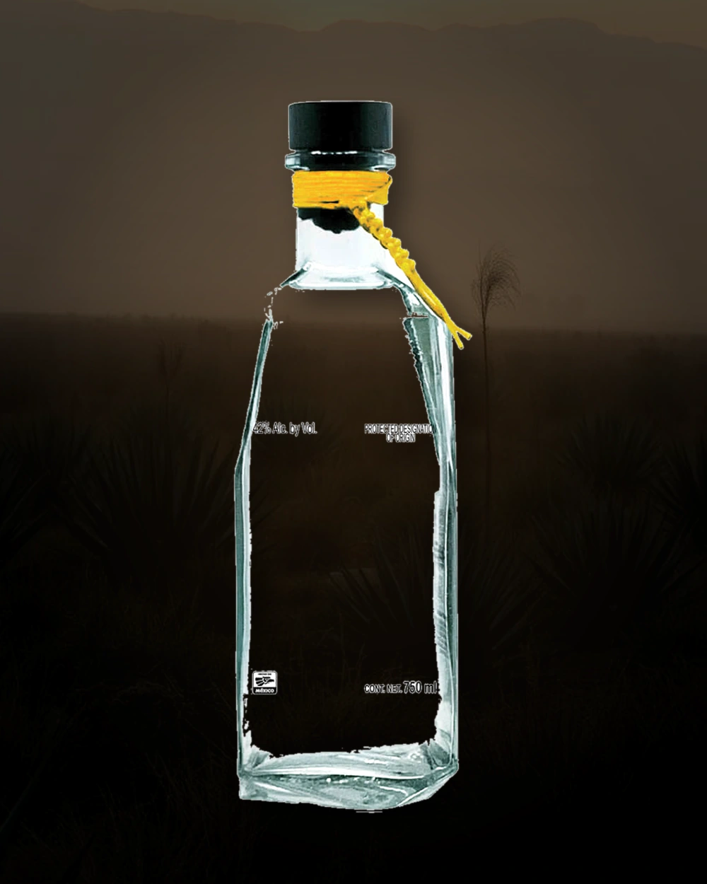 Casa Volador Damiana bottle