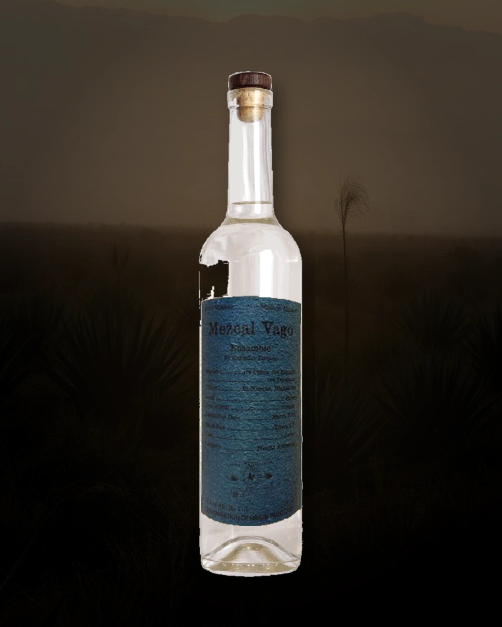 Vago Ensamble – Emigdio Jarquin Ramirez bottle