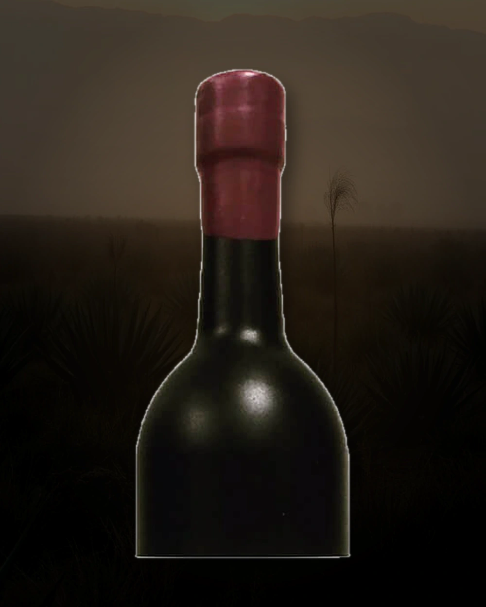 El Jolgorio Coyote bottle