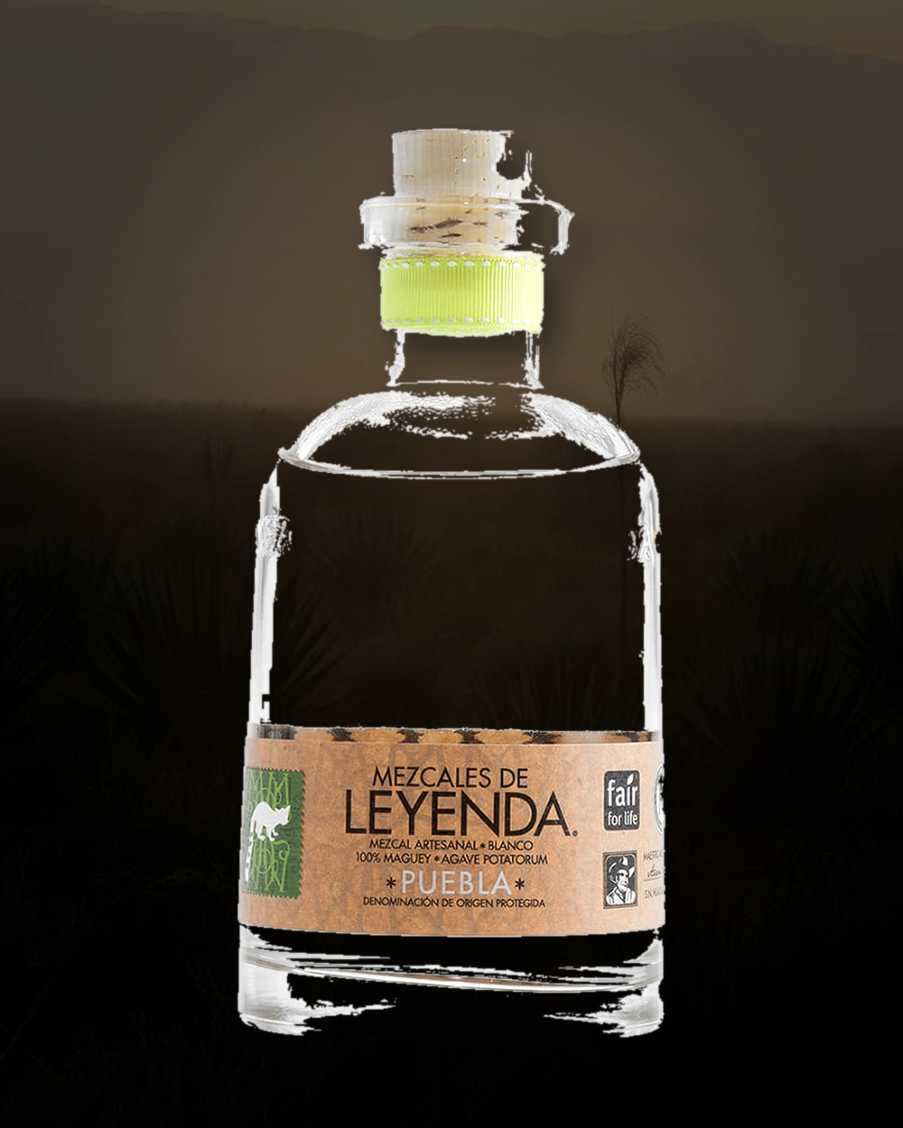Leyendas Tobala (Puebla)