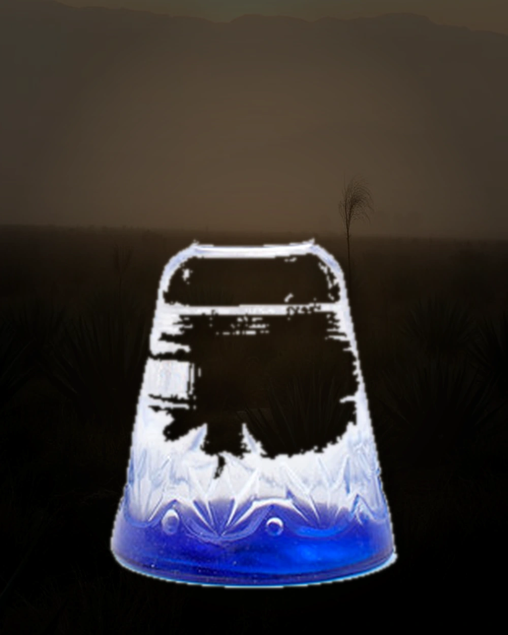 Clase Azul Plata bottle