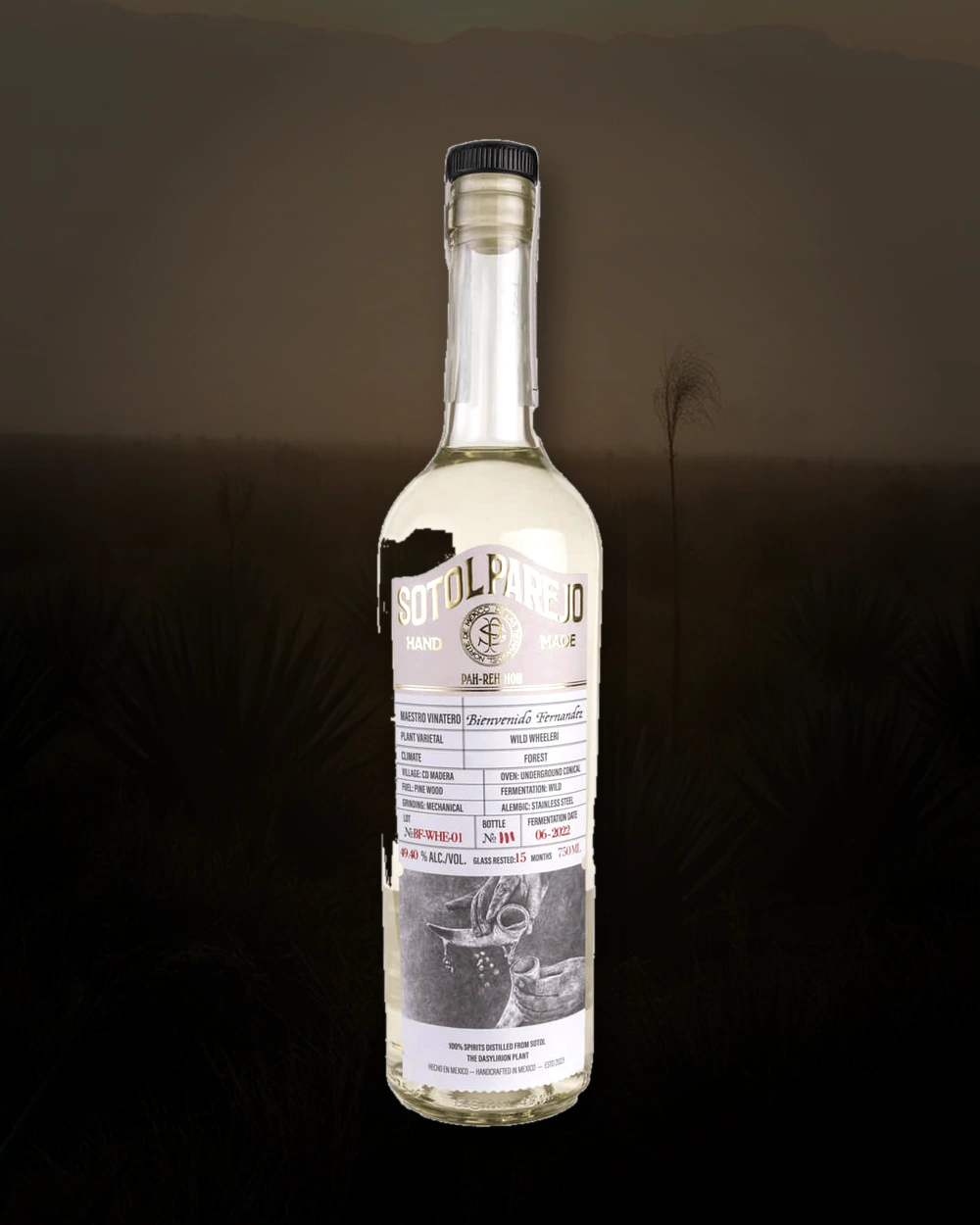 Sotol Parejo Wheeleri – Bienvenido Fernández bottle