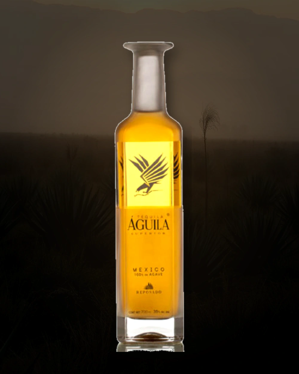 Tequila Aguila Superior Reposado bottle