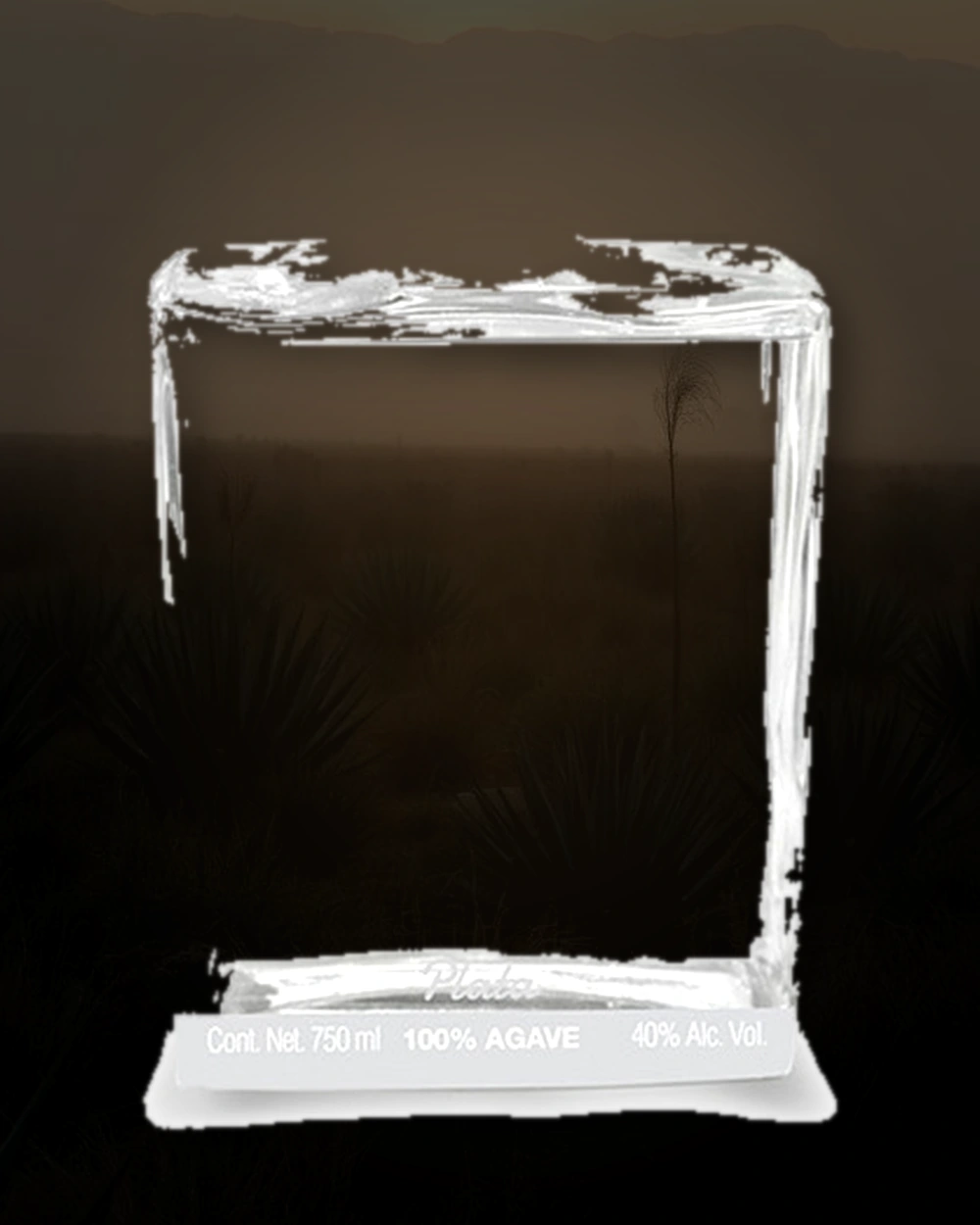 Tequila Blanco 13 Plata bottle