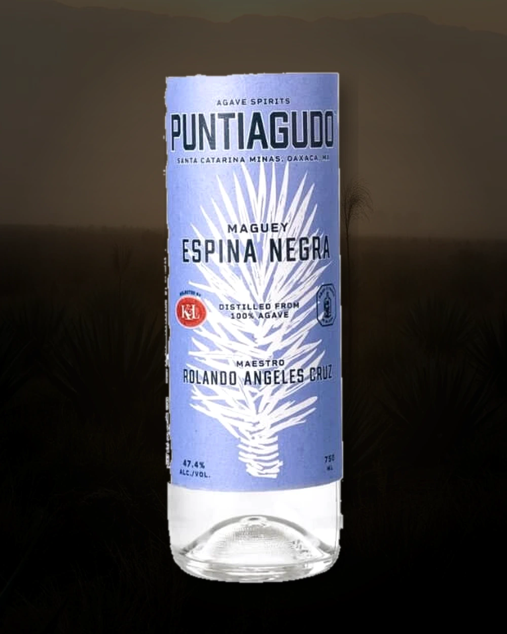Puntiagudo Espina Negra – Rolando Ángeles bottle