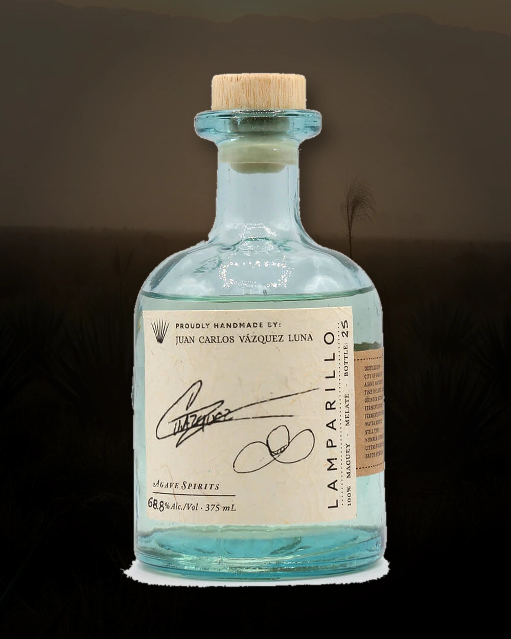 Maguey Melate Lamparillo – Juan Carlos Vasquez Luna