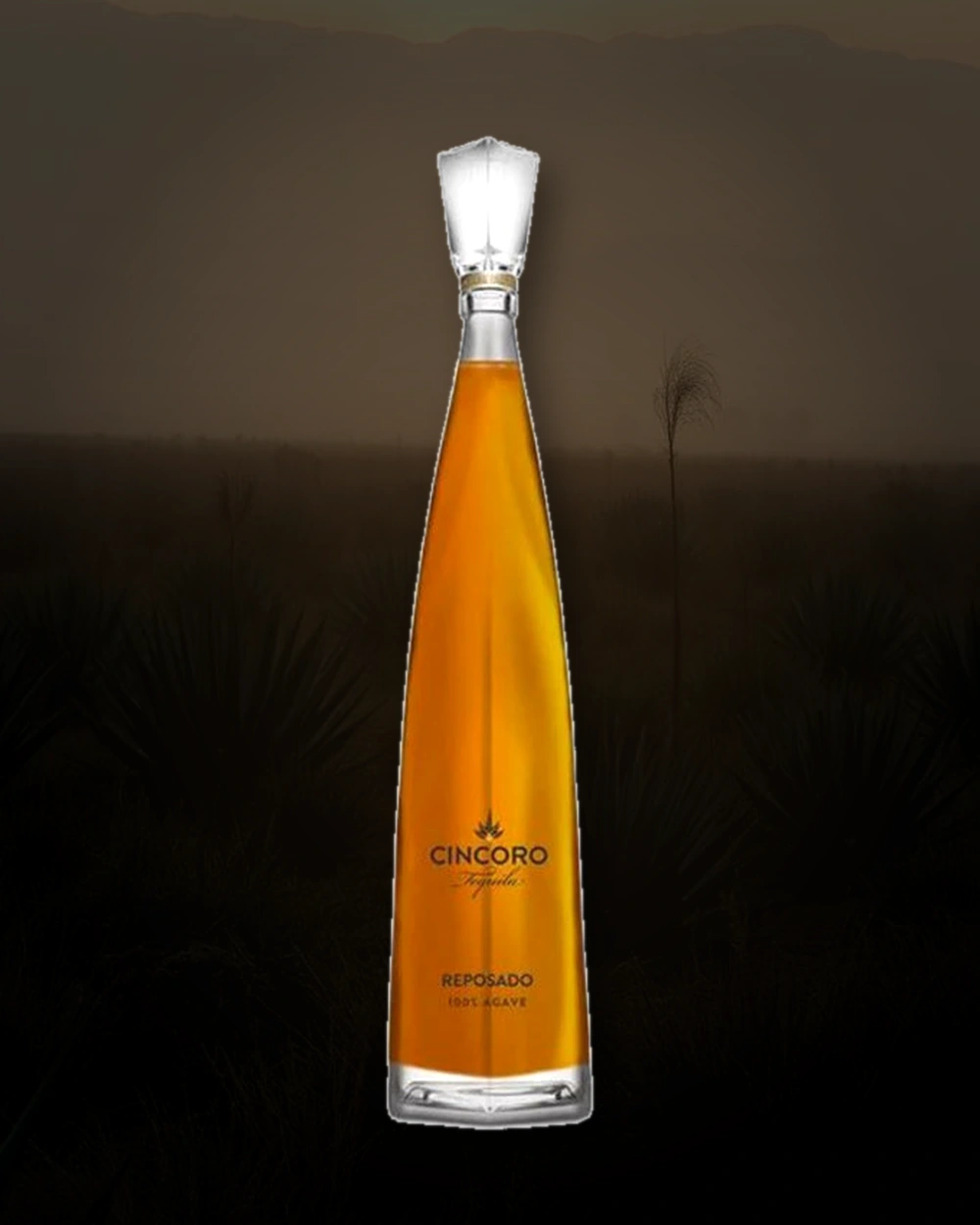 Cincoro Tequila Reposado bottle
