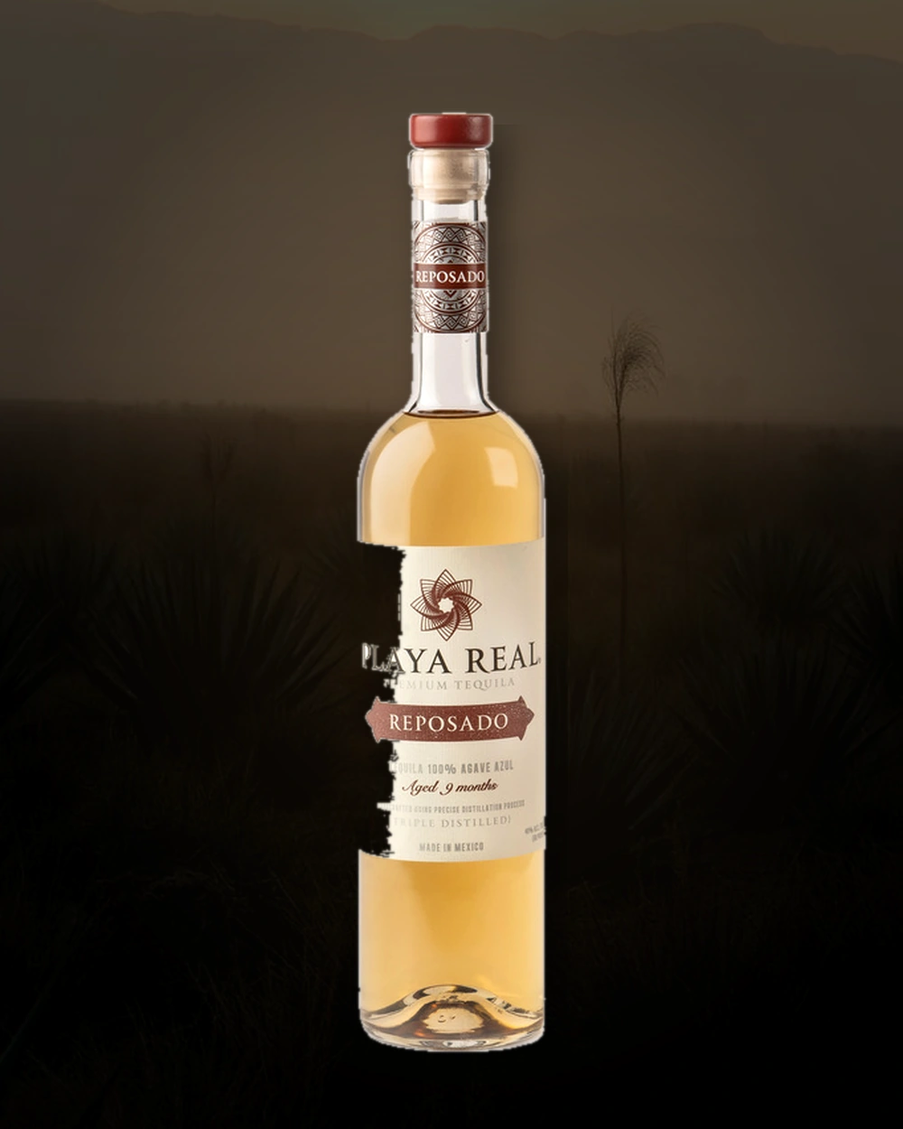 Playa Real Reposado bottle