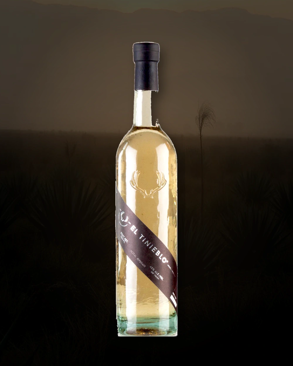 El Tinieblo Reposado bottle