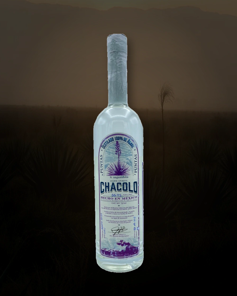 Chacalo Lineño Puntas bottle
