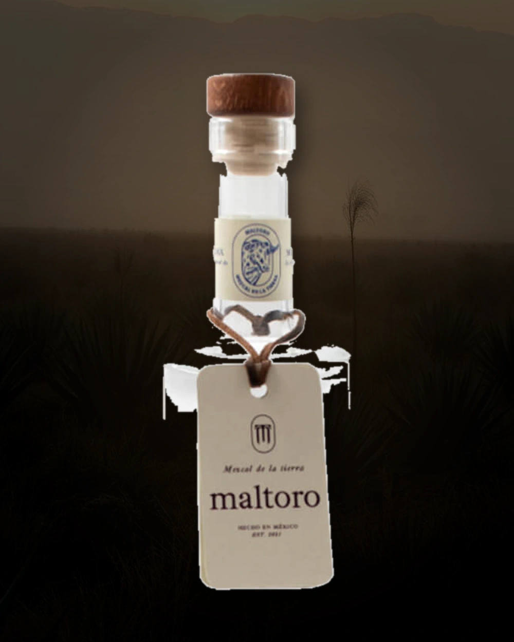 Maltoro Tepextate bottle