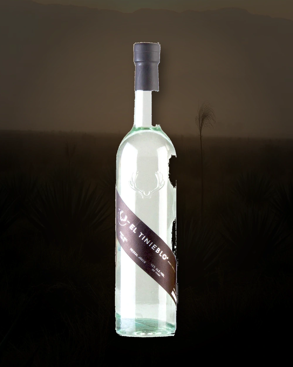 El Tinieblo Joven bottle