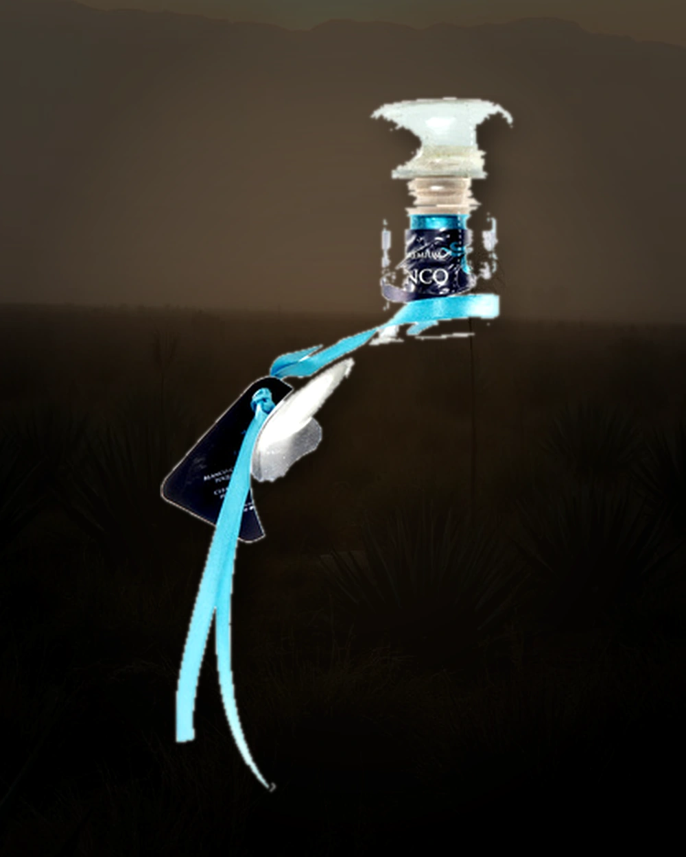 Torus Real Blanco bottle