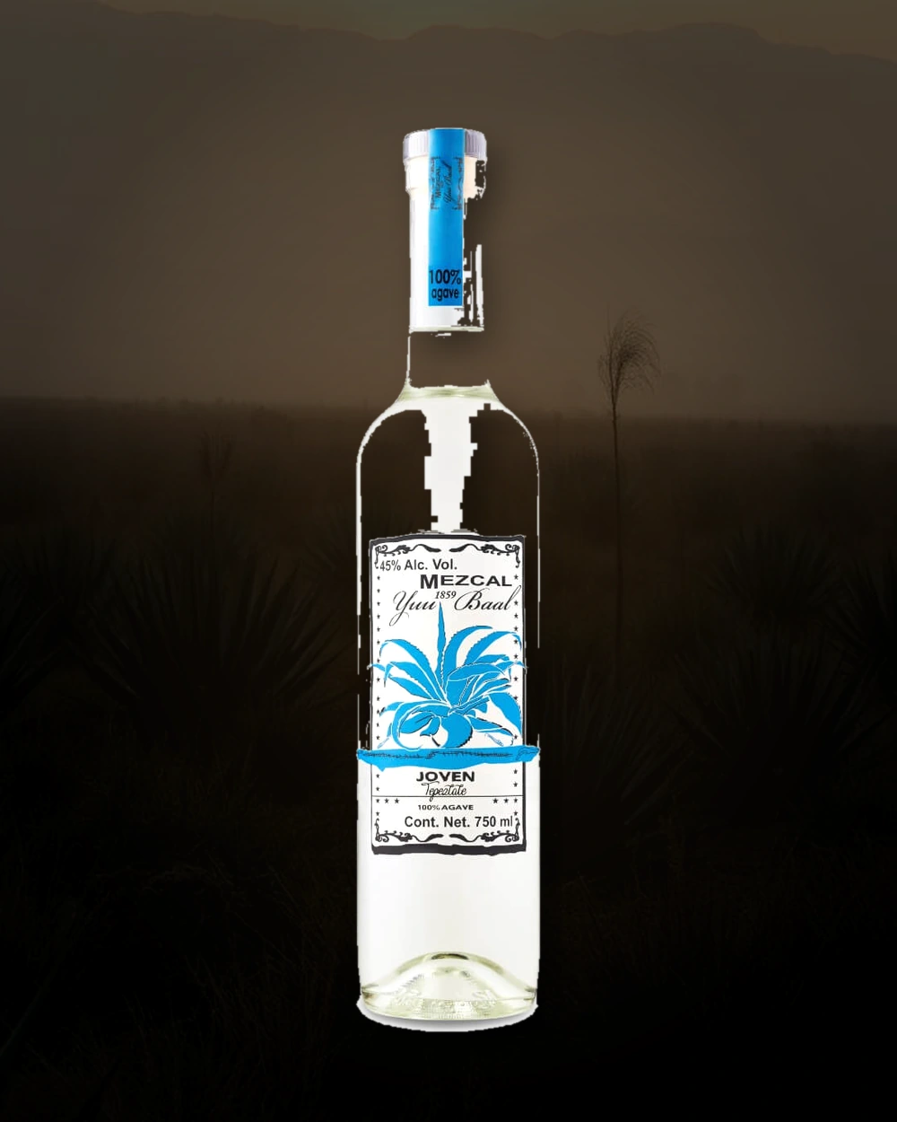 Yuu Baal Tepeztate bottle