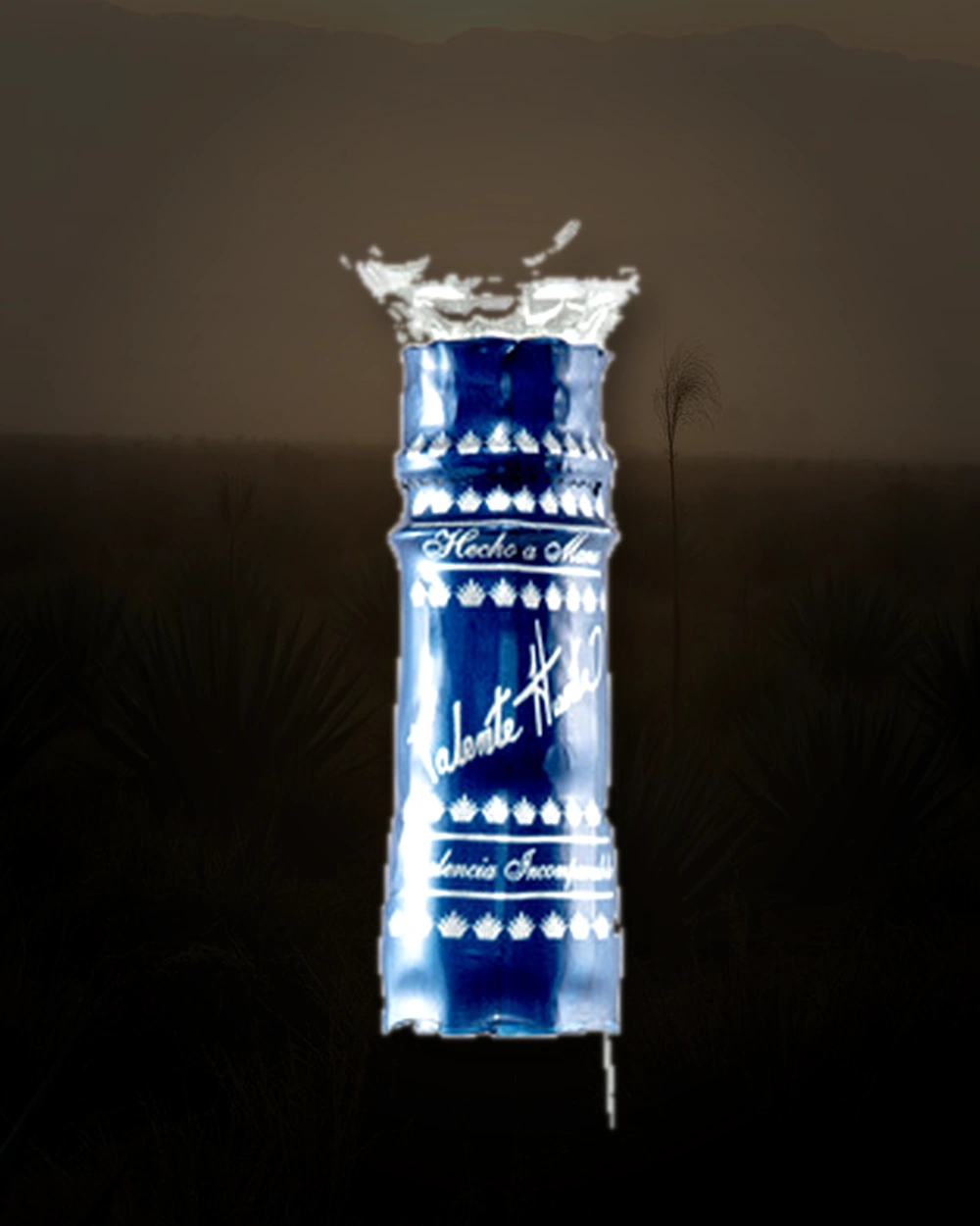 Don Valente Blanco bottle