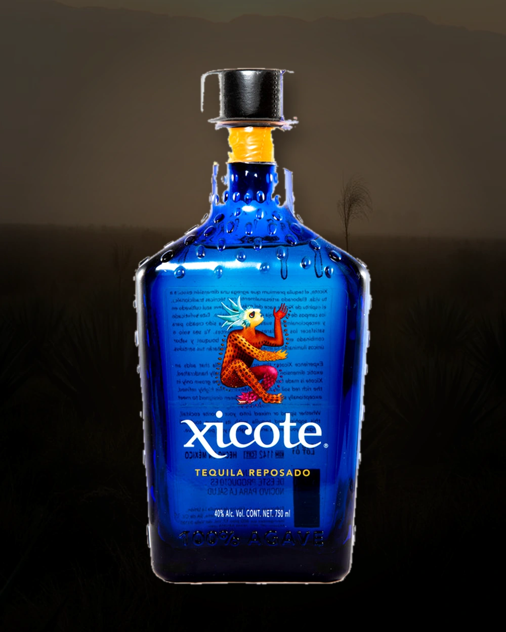 Xicote Tequila Reposado bottle