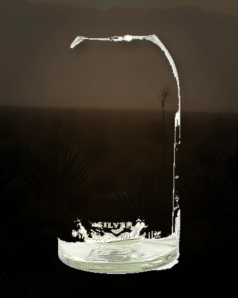 Dos Artes Silver bottle