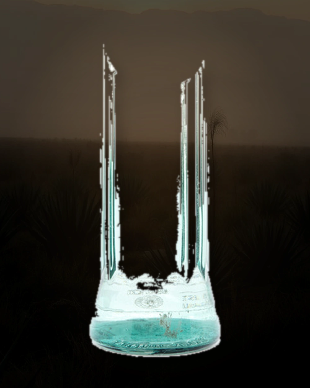 Tequilador Blanco bottle