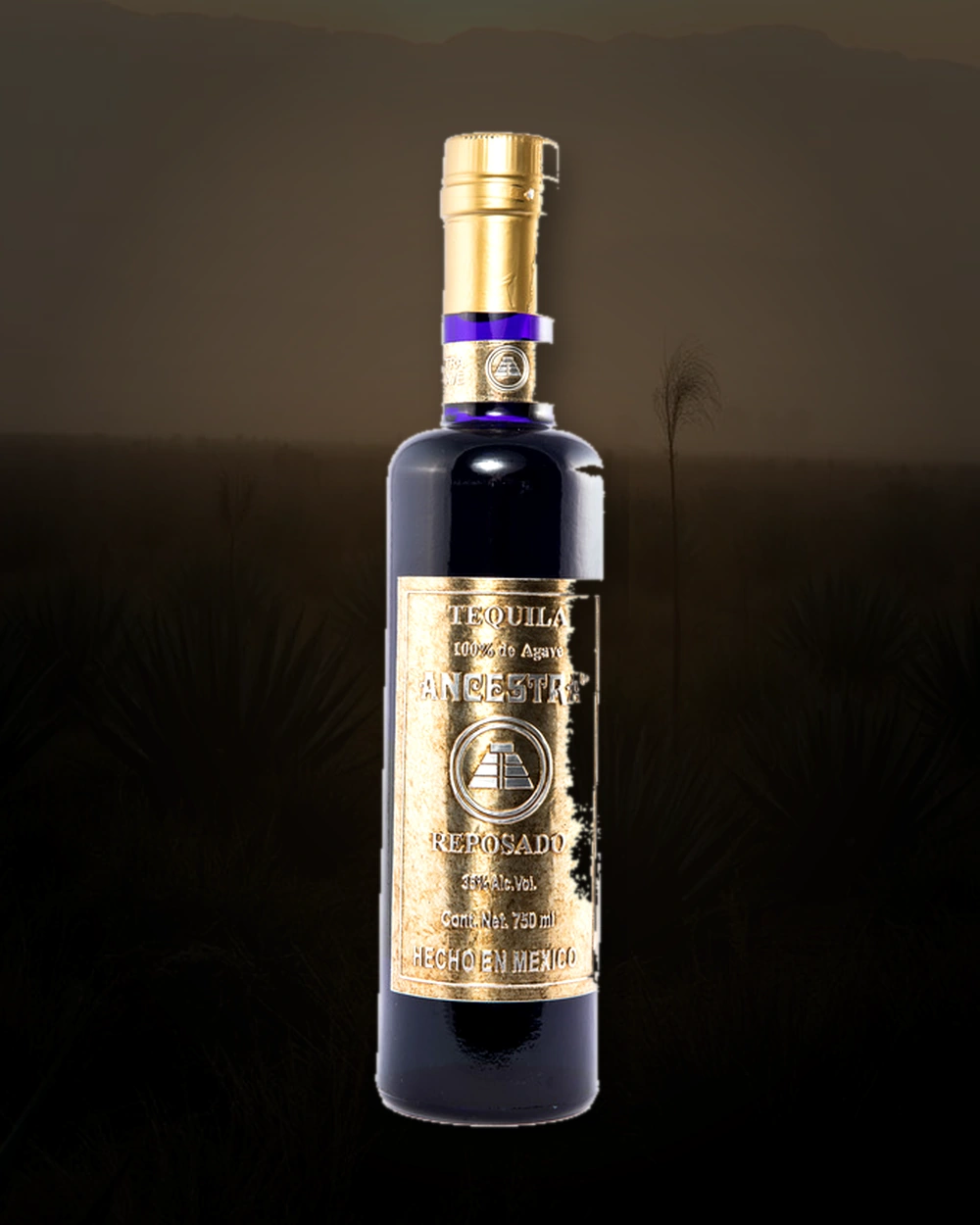 Ancestra Reposado Extra Smooth bottle