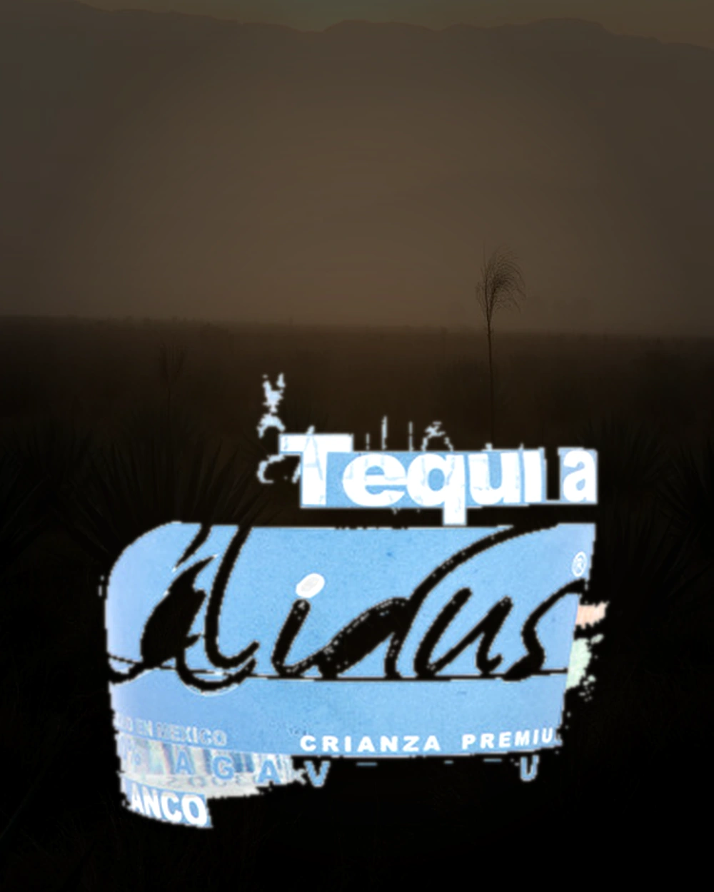 Tequila Calidus Blanco bottle