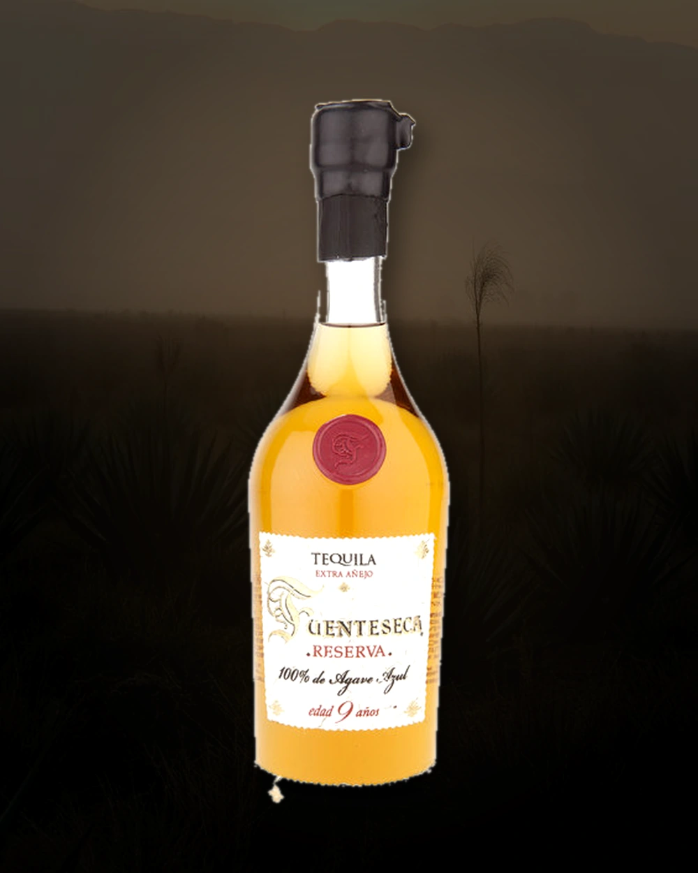 Fuenteseca Reserva Extra Añejo 9-year bottle