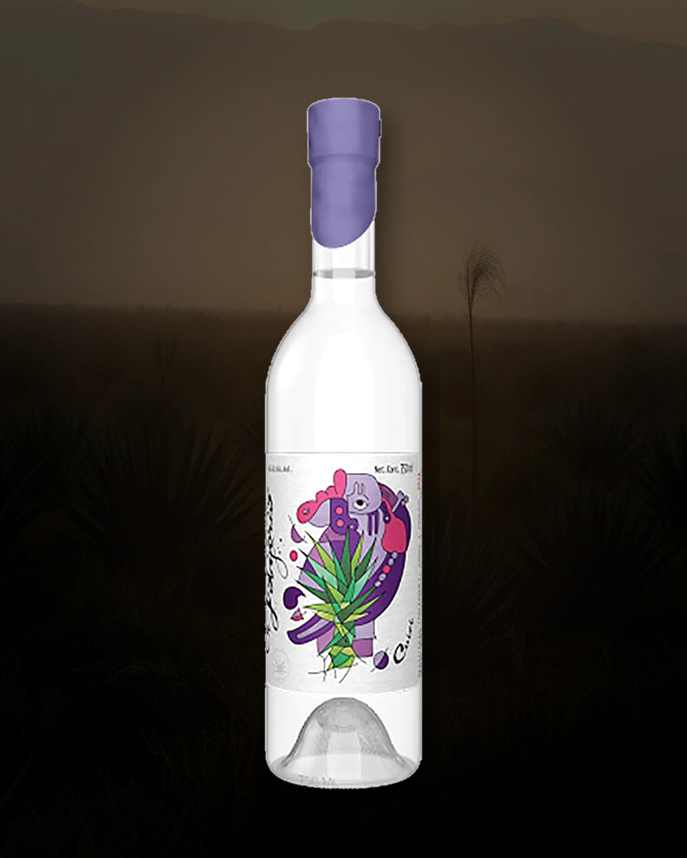 El Jolgorio Cuishe bottle