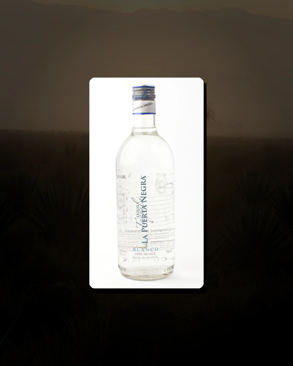 La Puerta Negra Blanco bottle