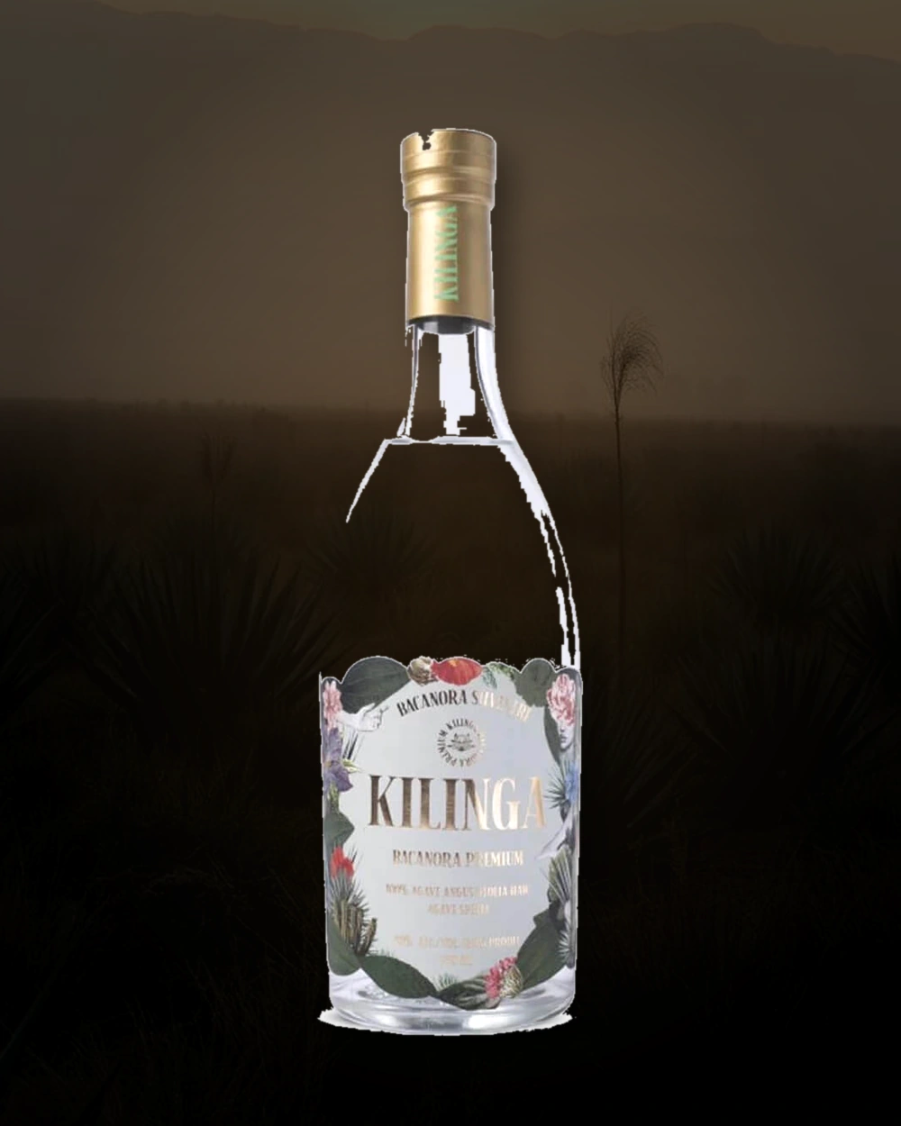Kilinga Bacanora Silvestre bottle