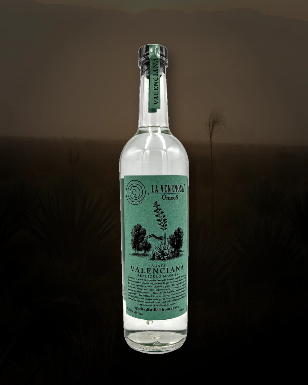 La Venenosa Valenciana bottle