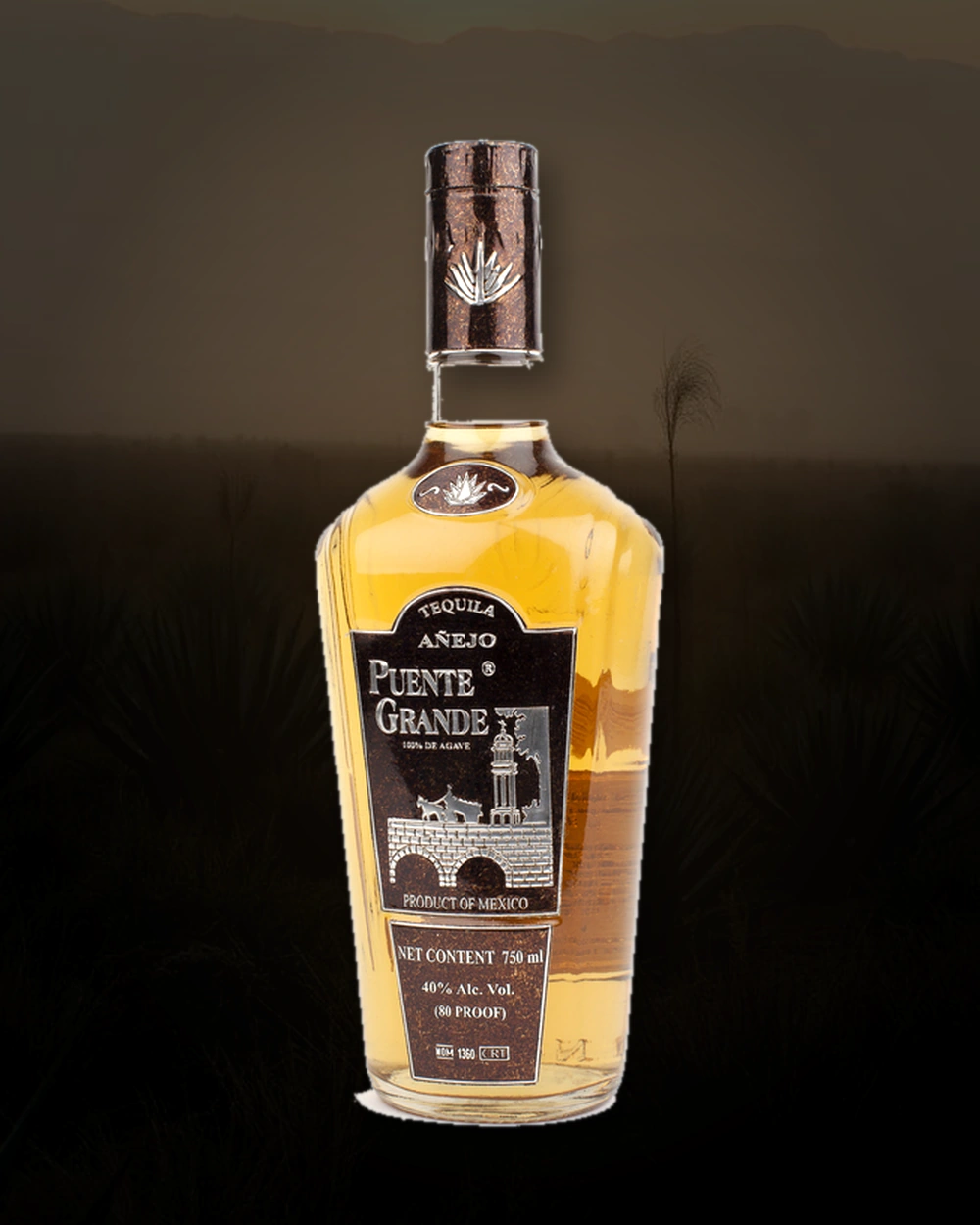 Puente Grande Tequila Añejo bottle