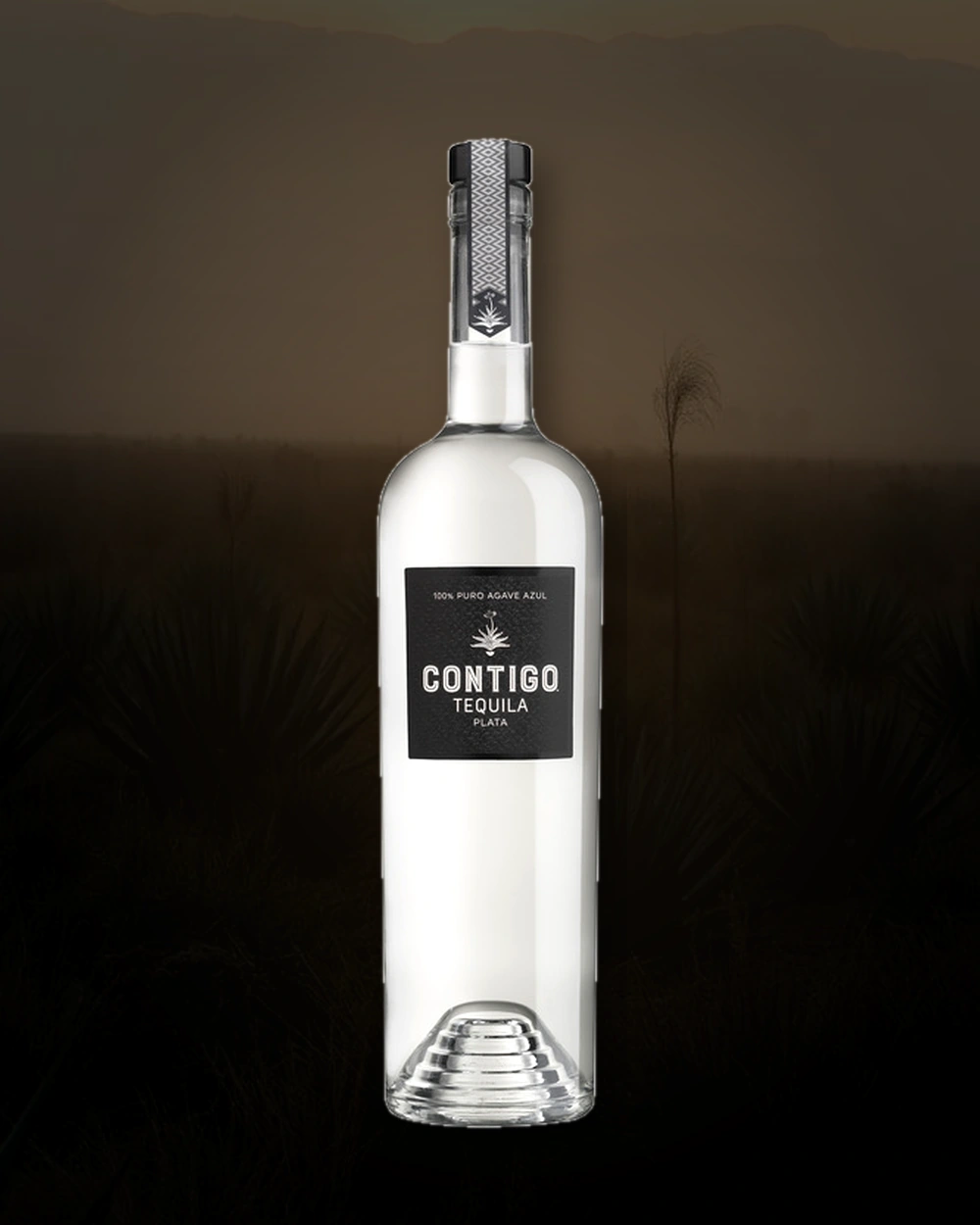 Contigo Plata bottle