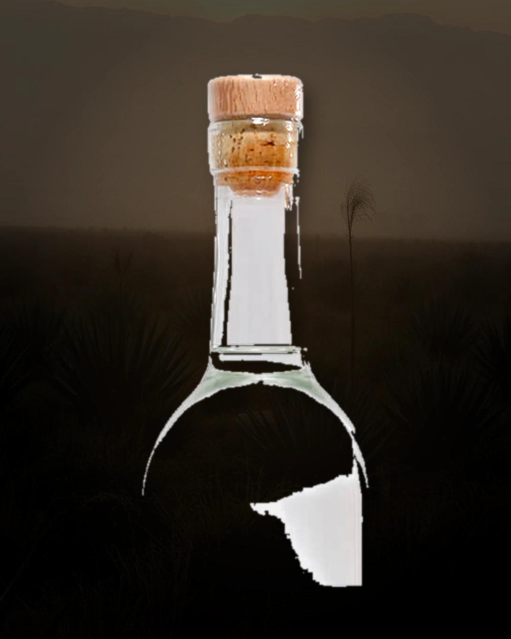 Mezcalero No. 13 bottle