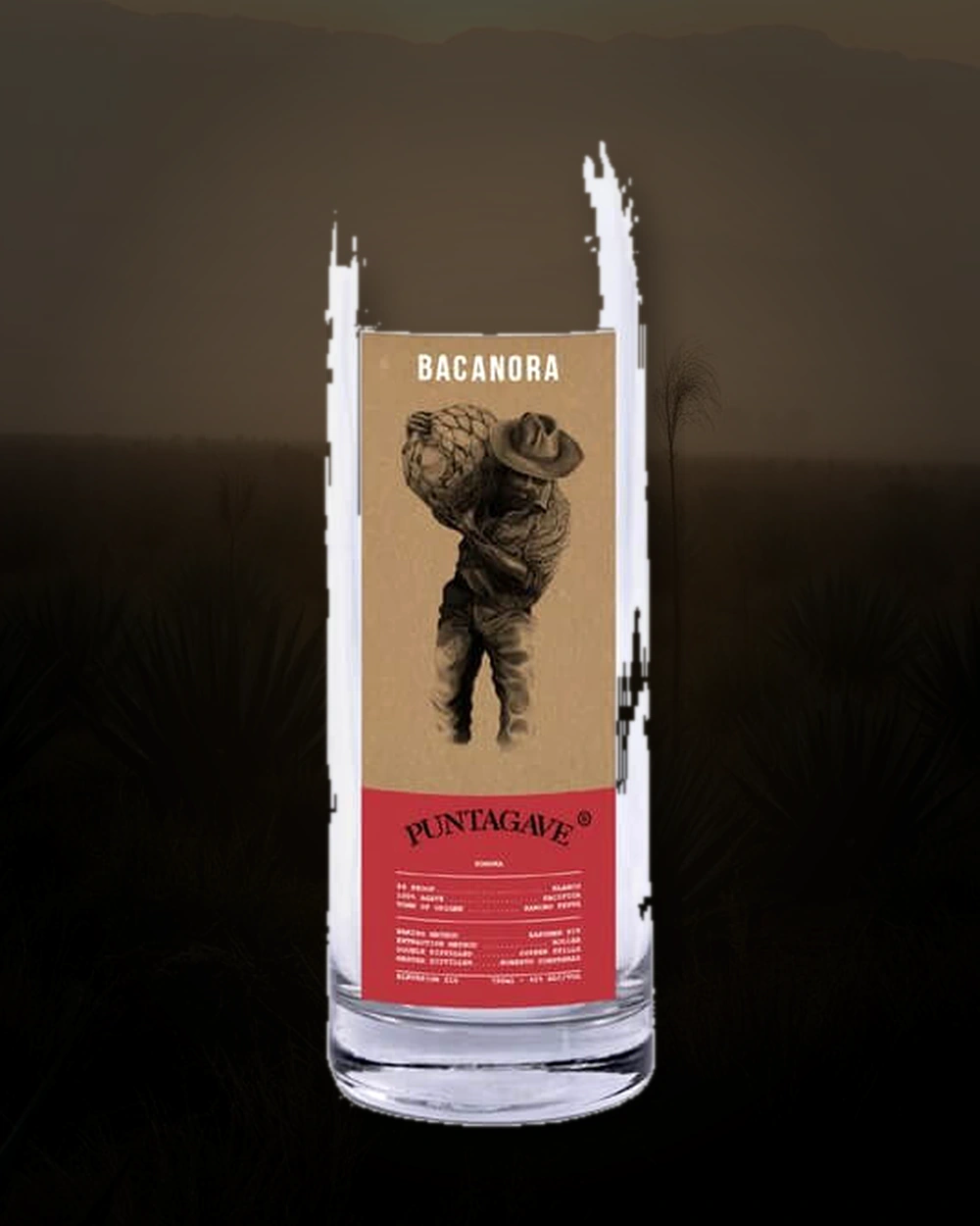 Puntagave Rustico Bacanora bottle