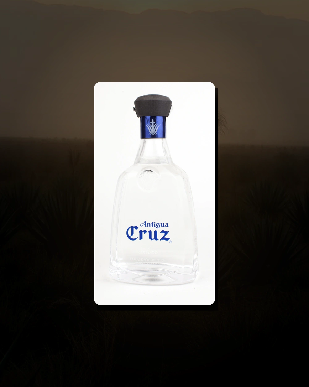 Antigua Cruz Silver bottle