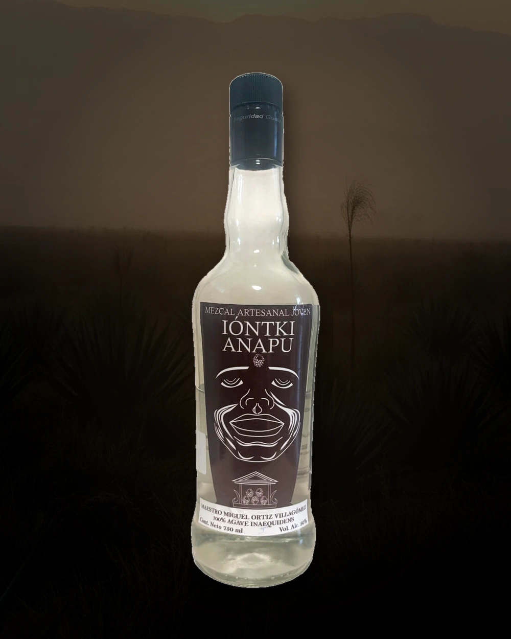 Ióntki Anapu Inaequidens bottle