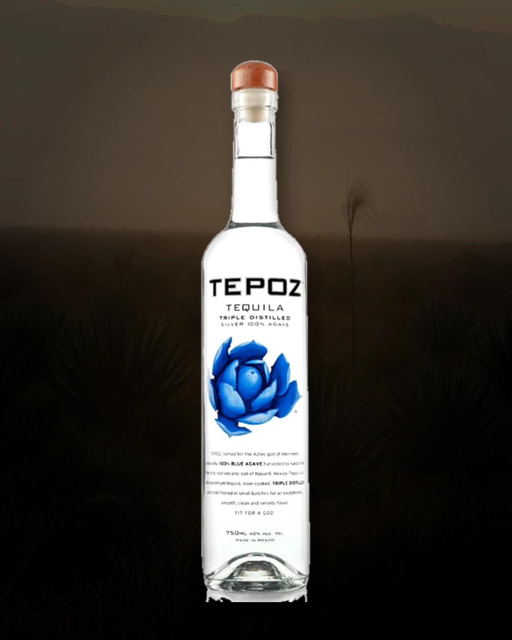 Tepoz Silver bottle