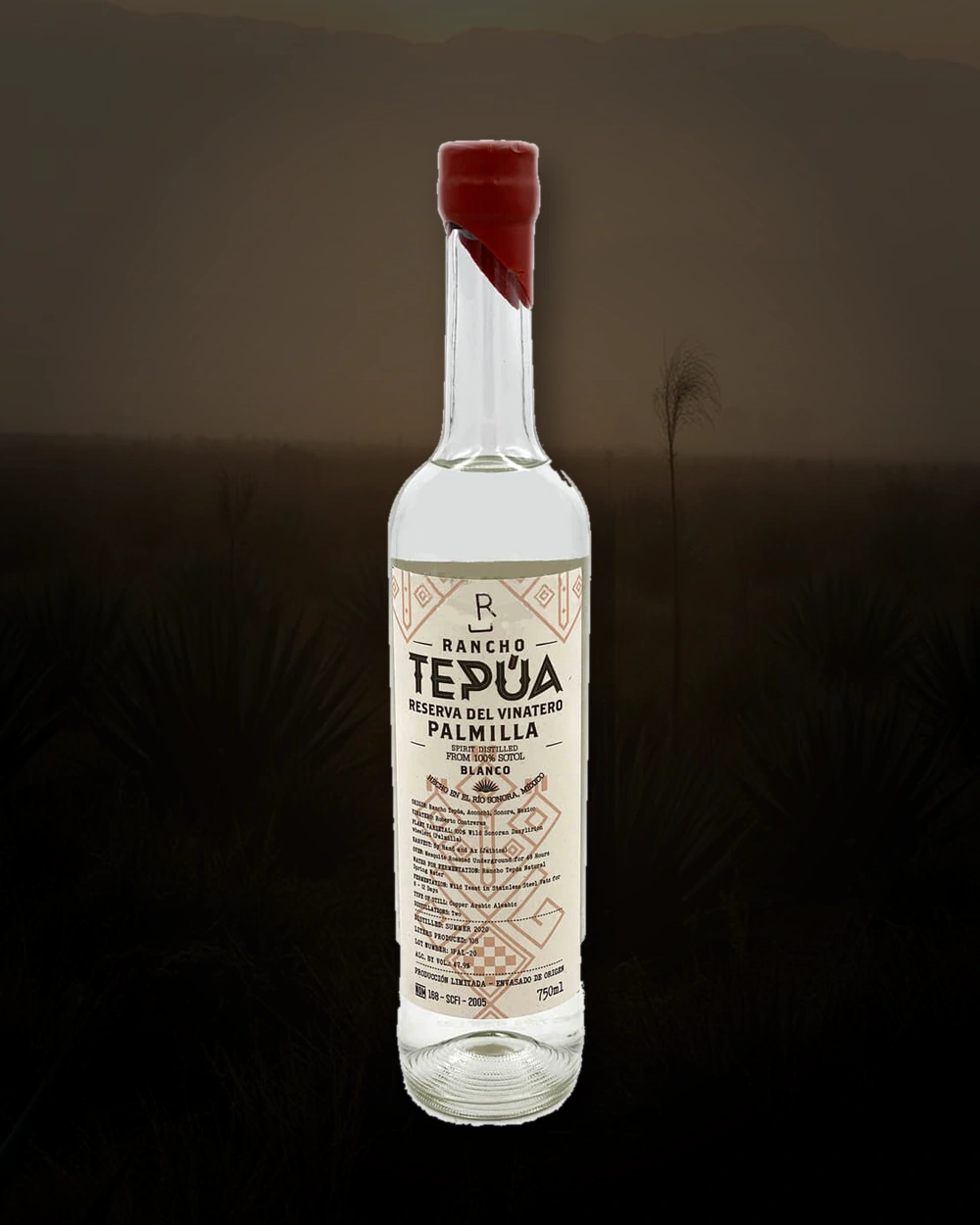 Rancho Tepua Palmilla