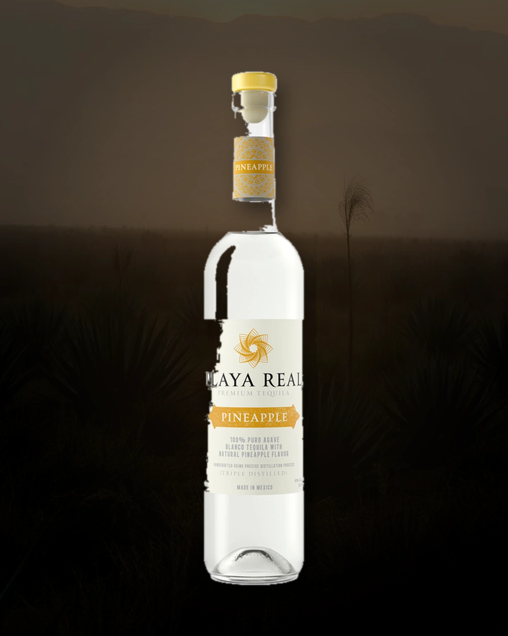 Playa Real Pineapple Tequila bottle