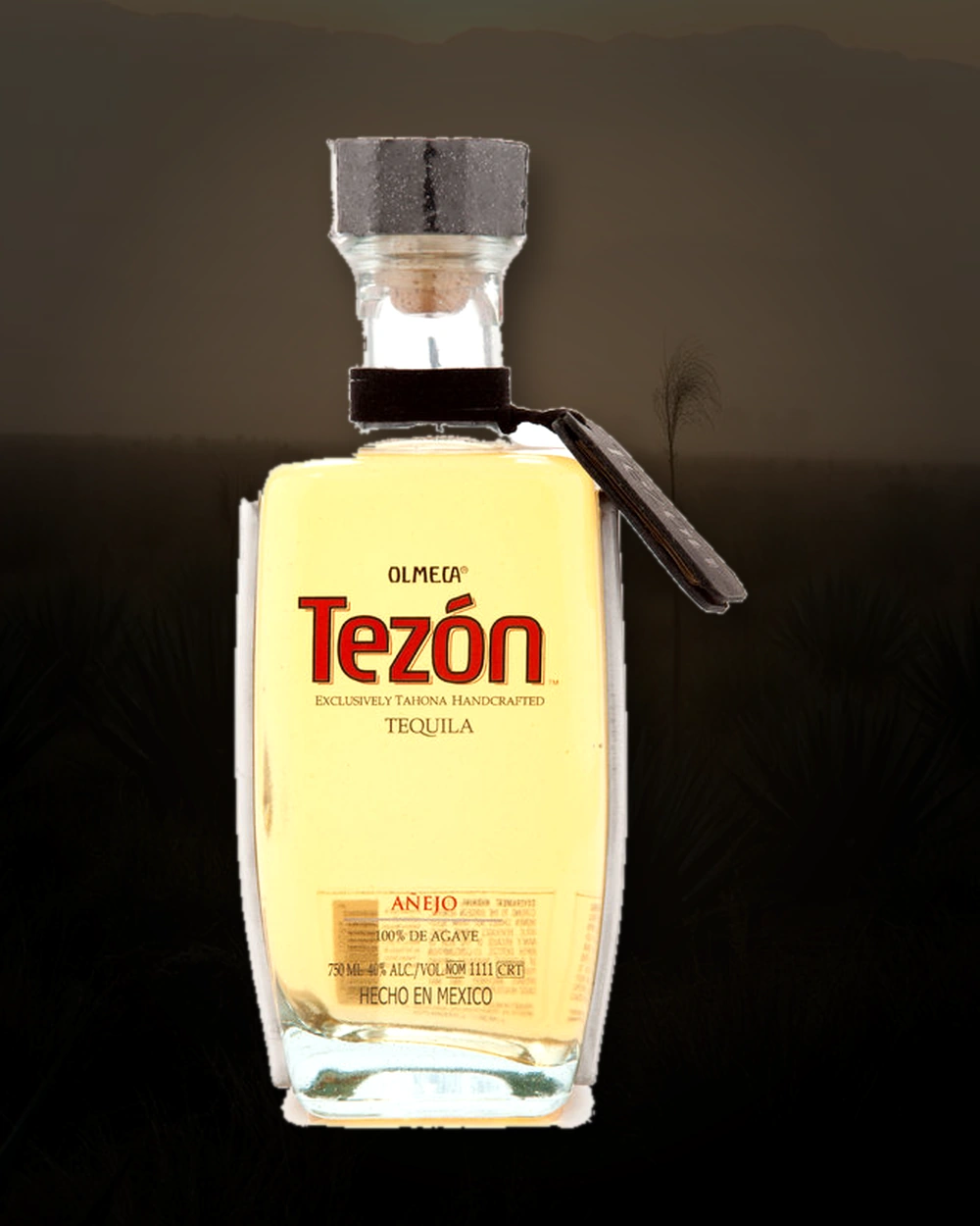 Tezon Añejo bottle