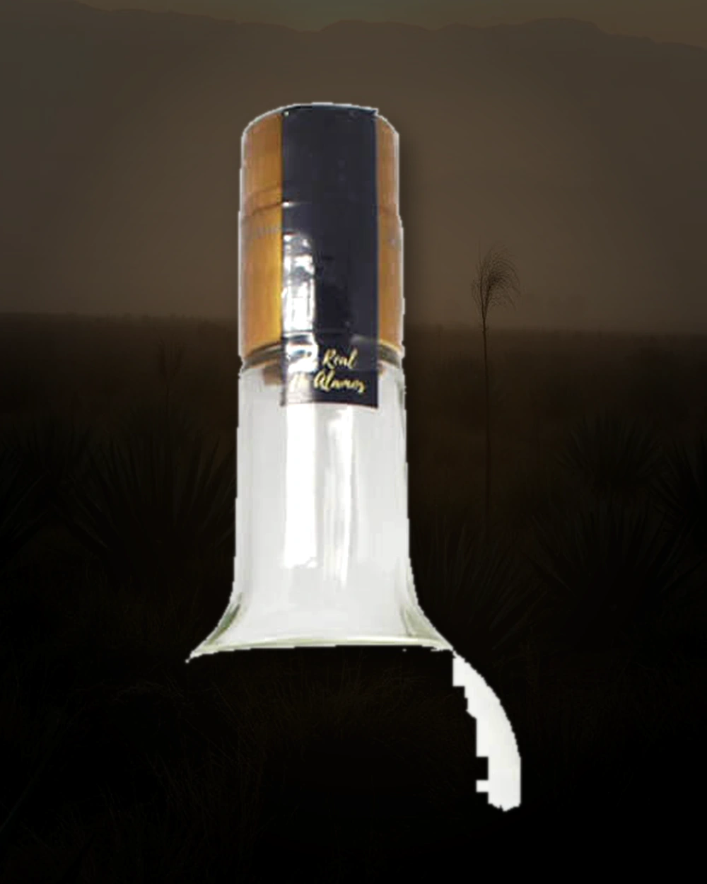 El Real De Alamos Bacanora Blanco bottle