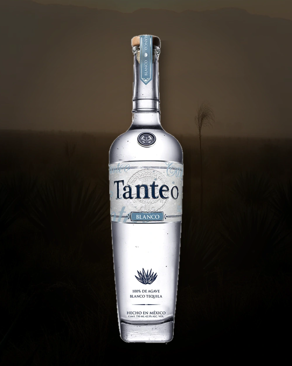 Tanteo Blanco bottle