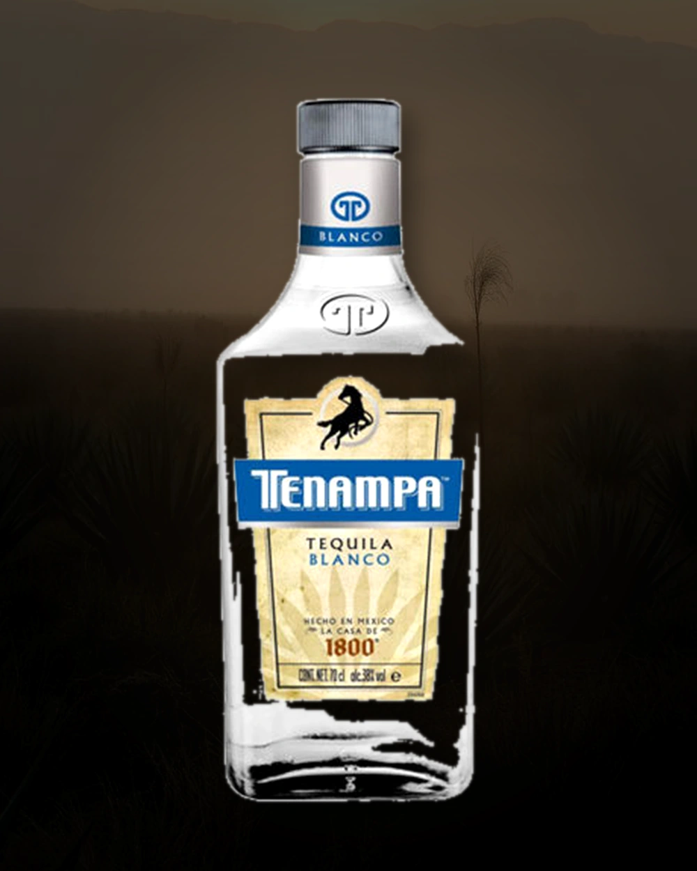 Tenampa Blanco bottle