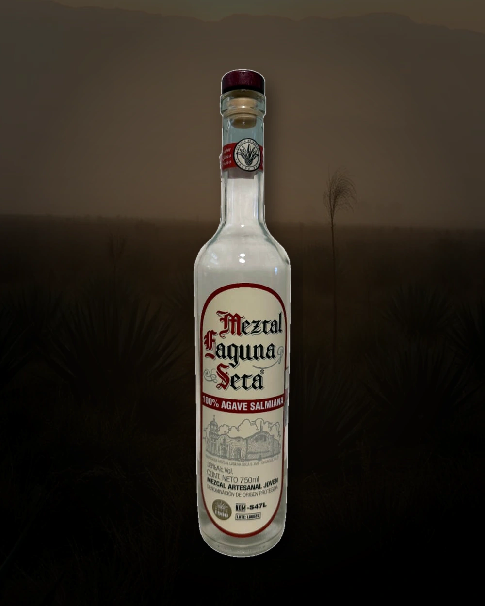 Laguna Seca Salmiana bottle
