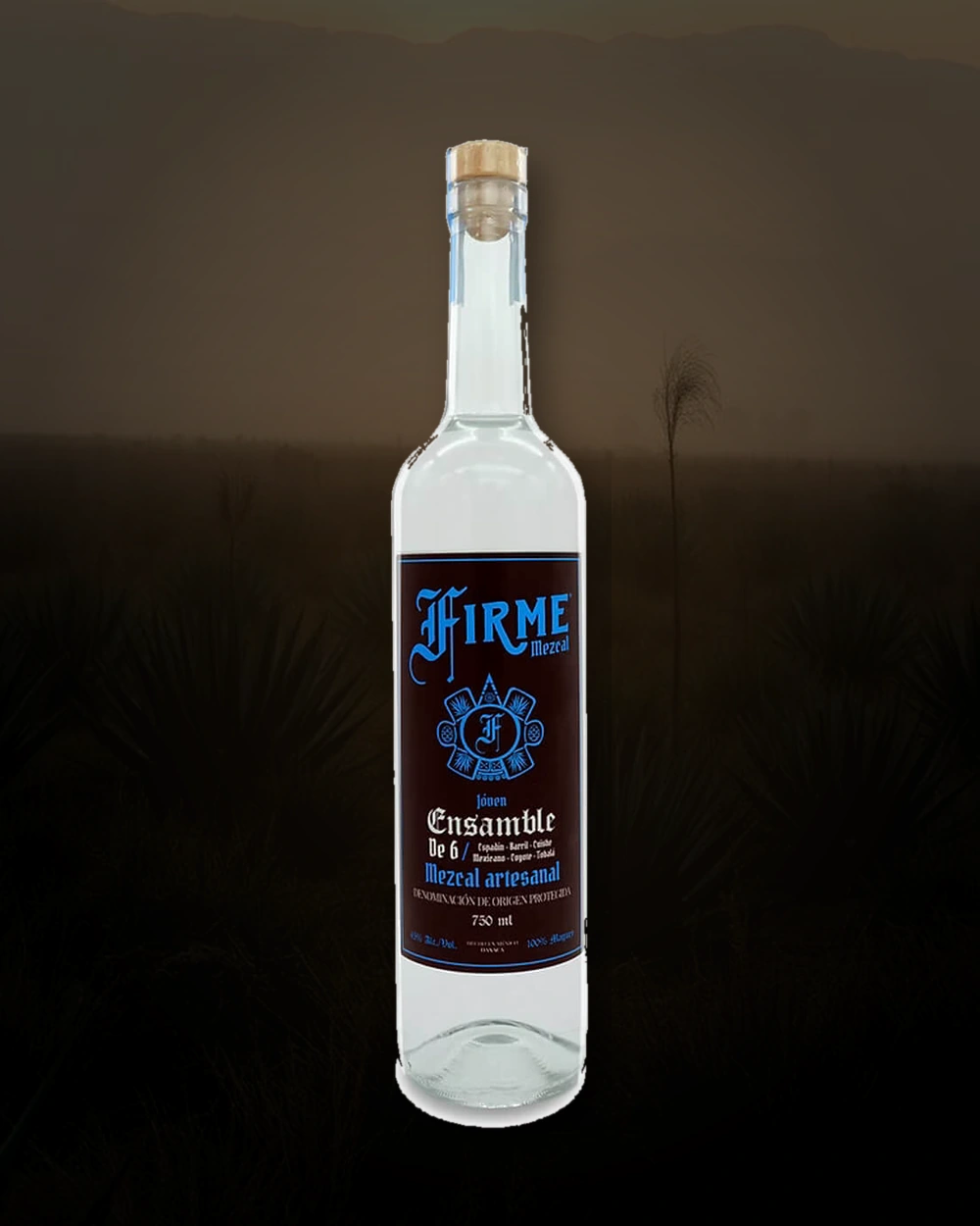 Firme Ensamble de 6 bottle