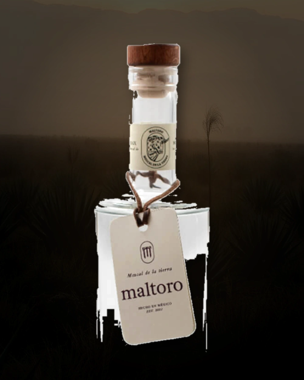 Maltoro Tobala bottle