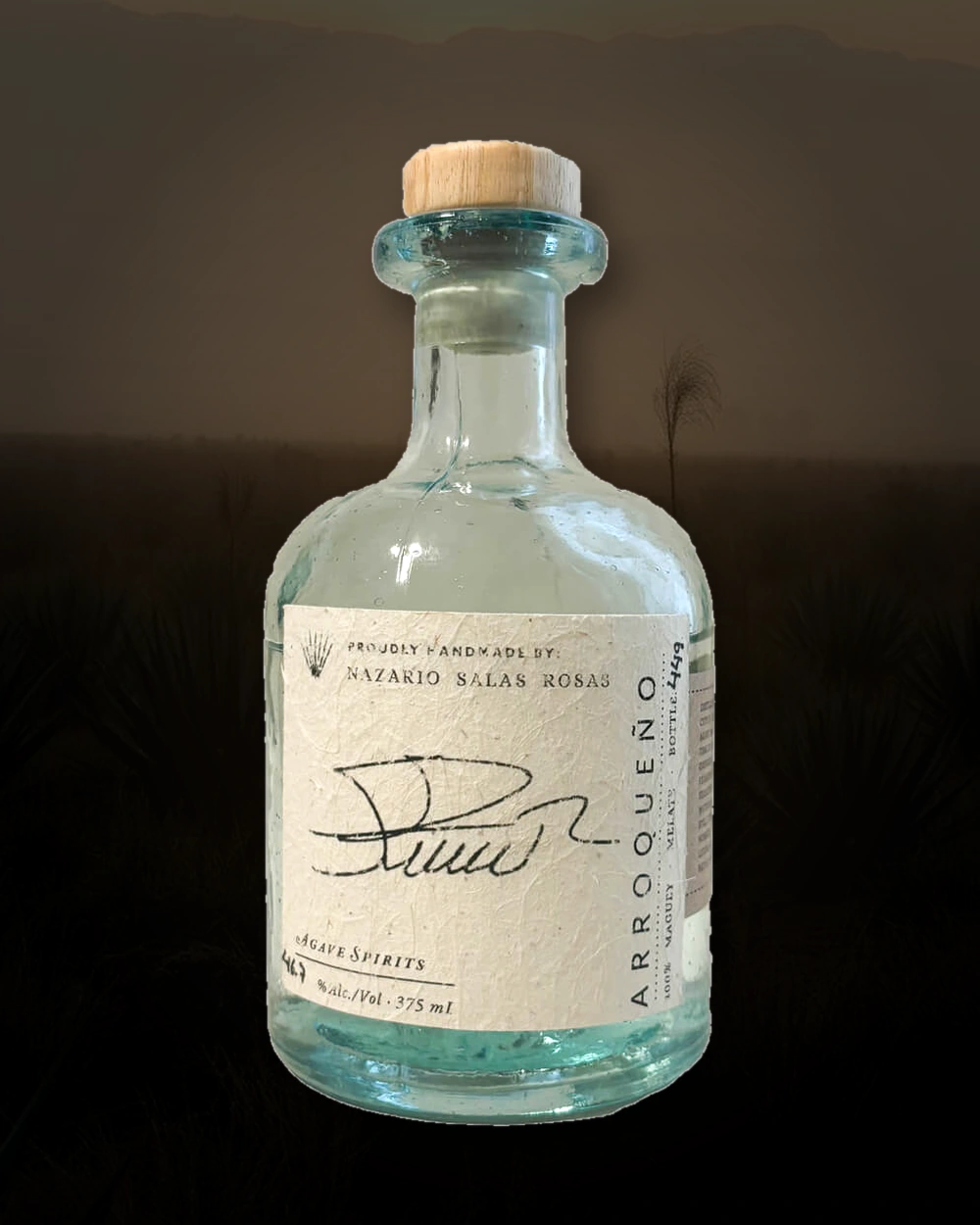 Maguey Melate Arroqueno – Nazario Salas Rosas