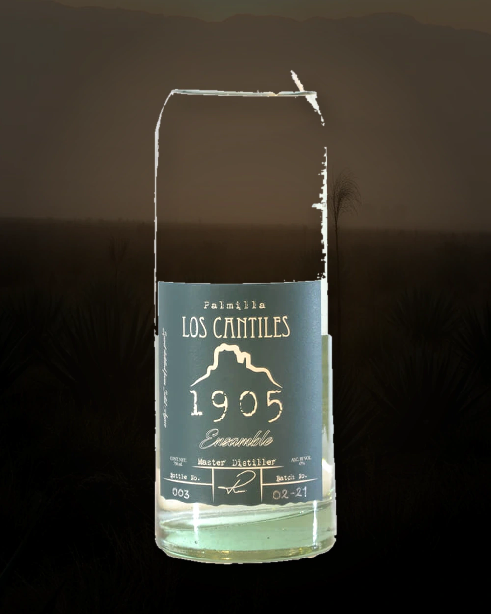 Los Cantiles 1905 Palmilla Ensamble