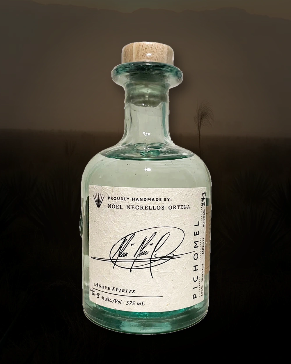 Maguey Melate Pichomel – Noel Negrellos Ortega